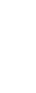 Svlc Icon White